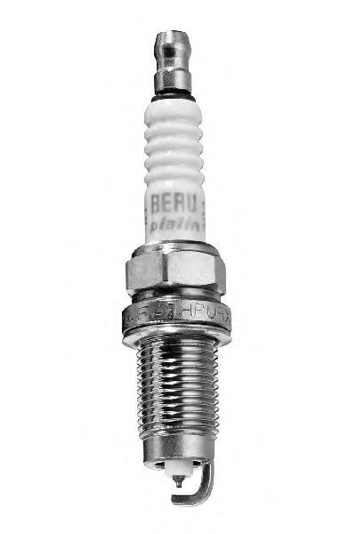 beru_0001335911.JPG
