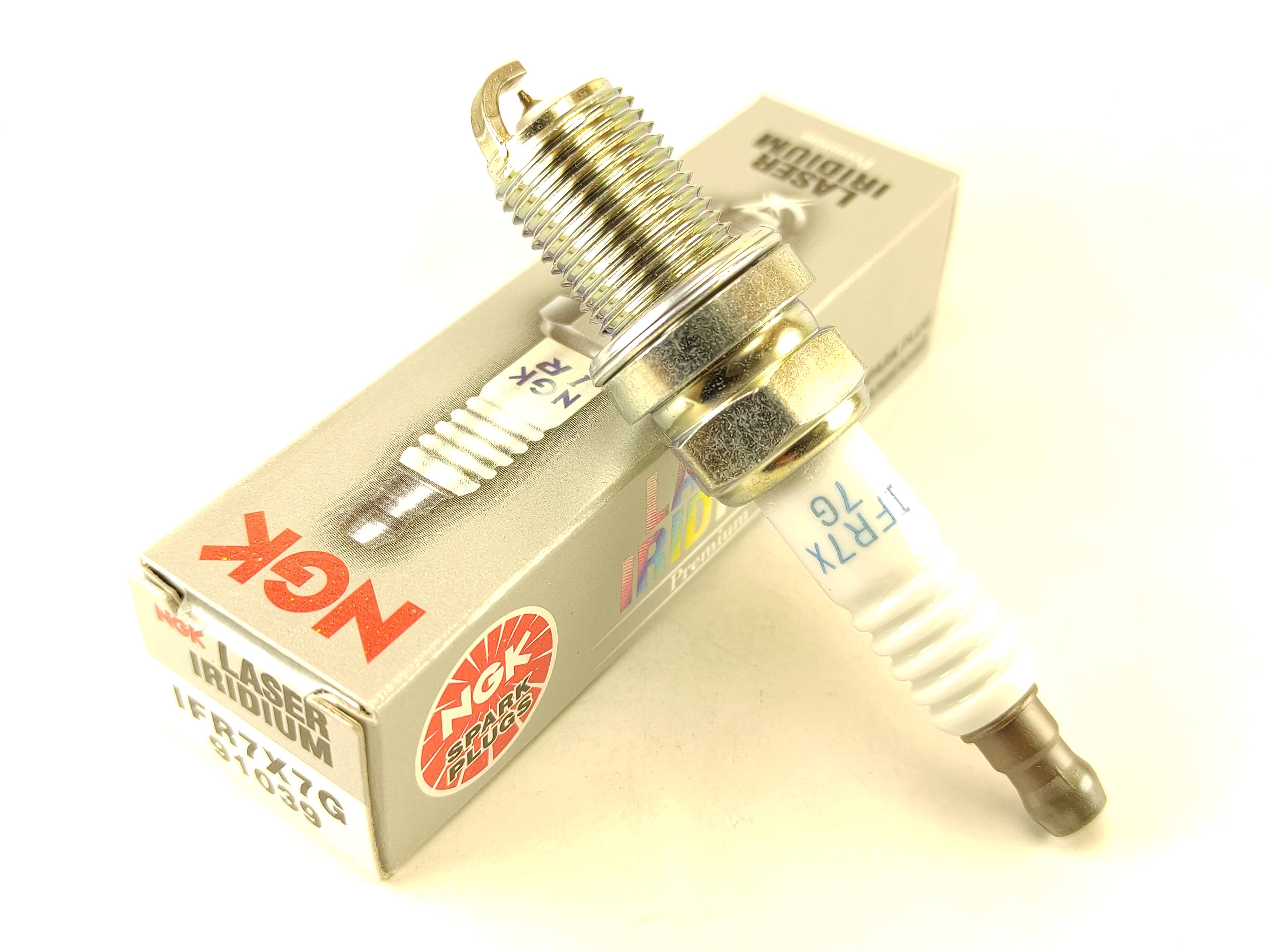 柊  ngk_IFR7X7G_photo1.jpg